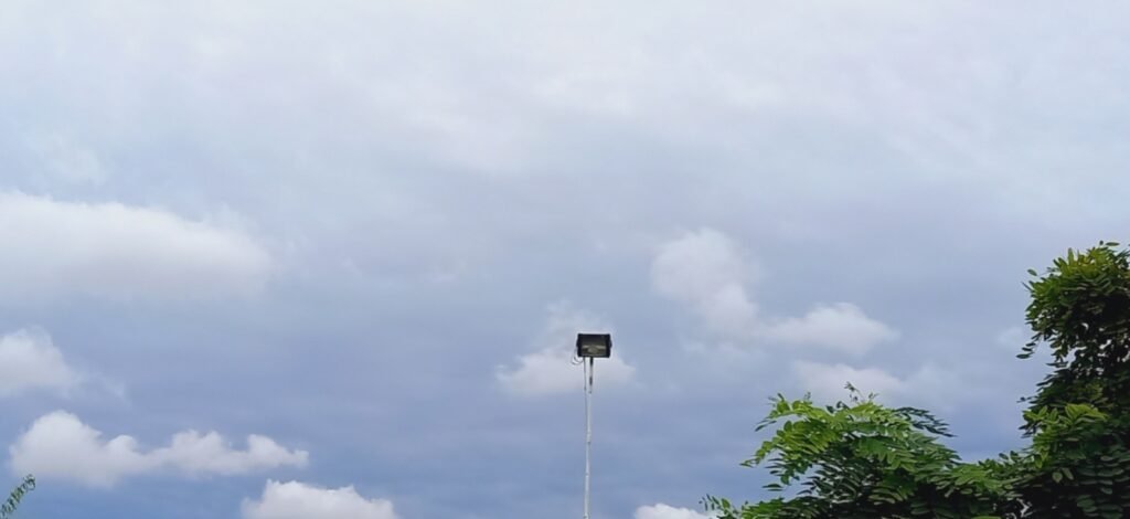 Resumen del informe climático para Cañuelas, 19 de marzo de 2024: