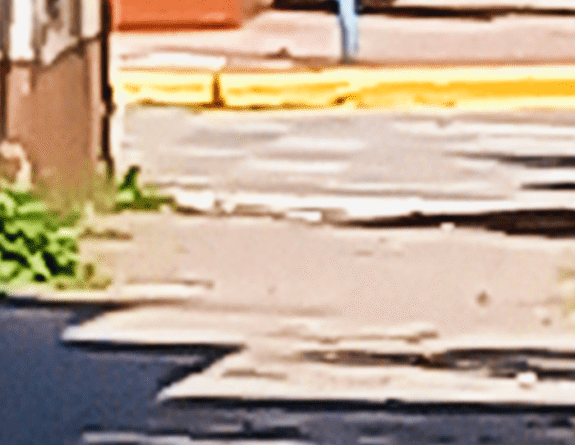 El Lagarto Overo: Un Inusual Inquilino en el Centro de Cañuelas- 
