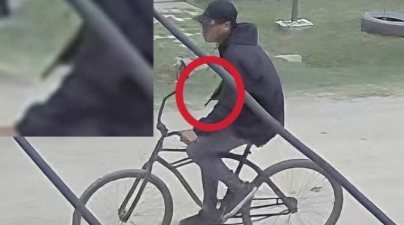 Virrey del Pino La Matanza – Delincuente armado apunta a una niña para robarle a su madre