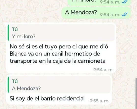 Cañuelas – Detrás de la muerte del Delincuente armado.