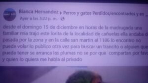 Cañuelas – Detrás de la muerte del Delincuente armado.