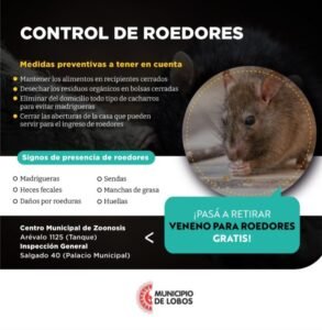 Control de roedores municipio de lobos