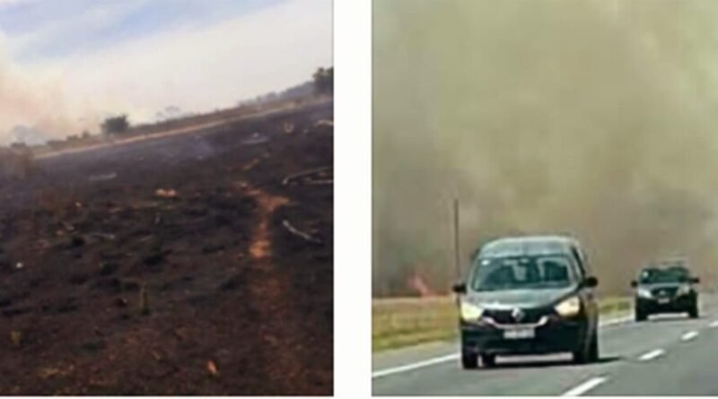 Cañuelas Incendios forestales simultáneos alarman Uribelarrea y Máximo Paz