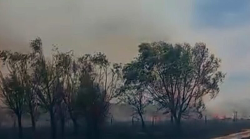 Cañuelas Insendio en Uribelarrea los Bomberos todavía no tienen el Control.
