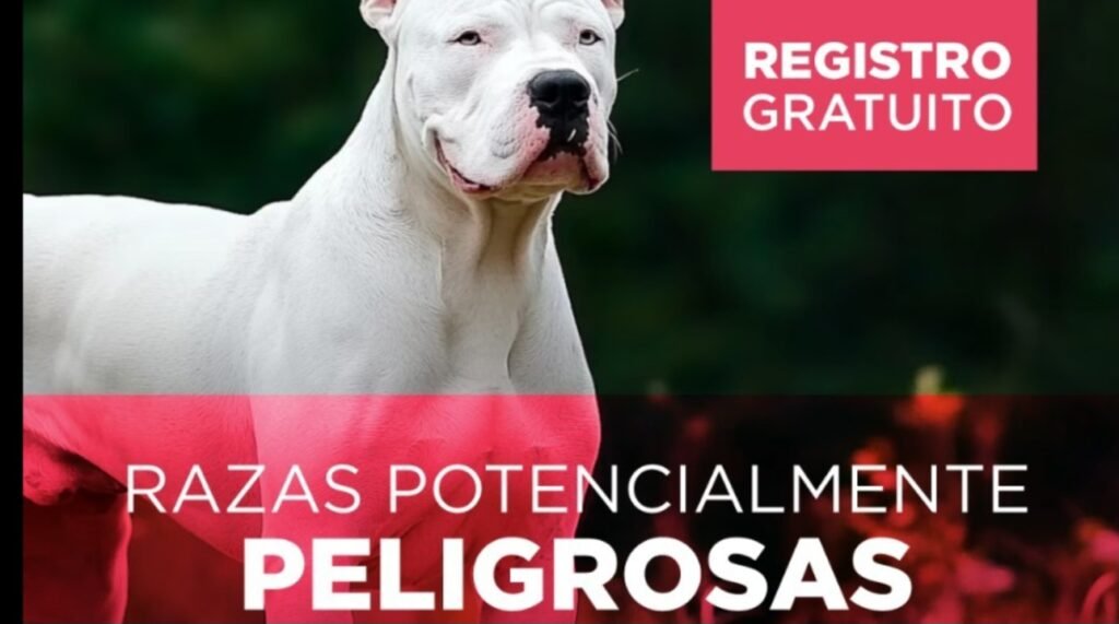 Lobos –  Implementa Registro Obligatorio de Perros Potencialmente Peligrosos
