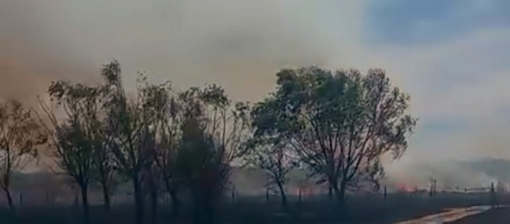Cañuelas Insendio en Uribelarrea los Bomberos todavía no tienen el Control.