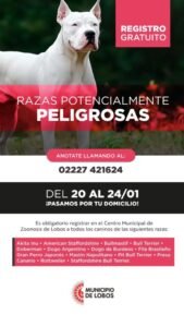Lobos –  implementa registro obligatorio de perros potencialmente peligrosos