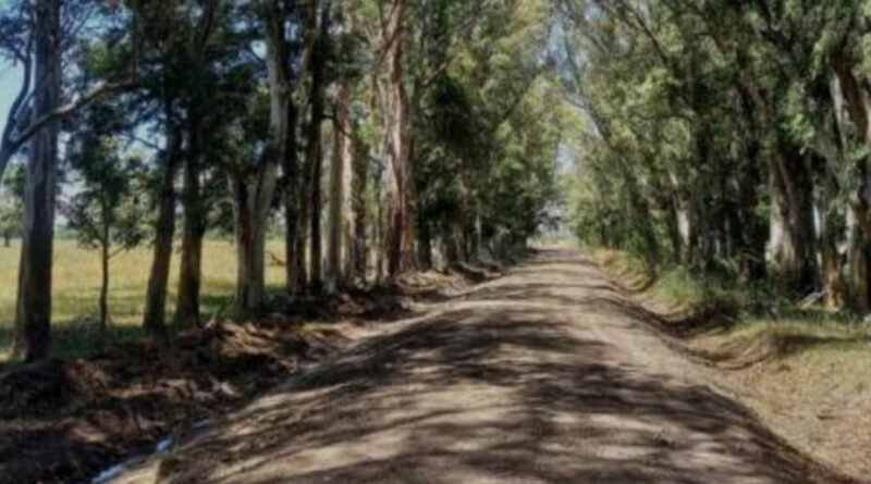 Cañuelas – el auge inmobiliario en campos de 10 a 20 hectáreas