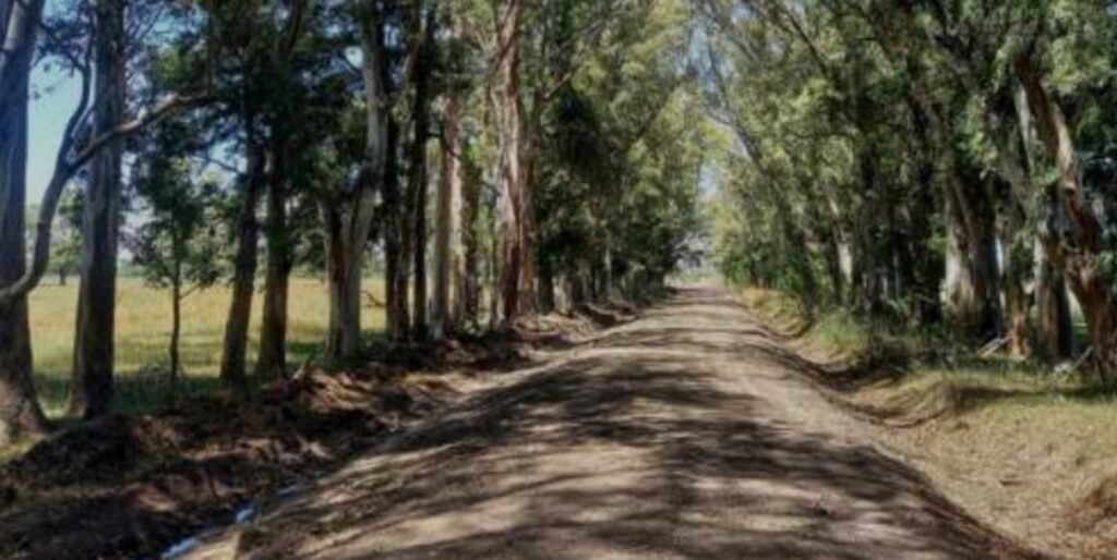 Cañuelas – el auge inmobiliario en campos de 10 a 20 hectáreas