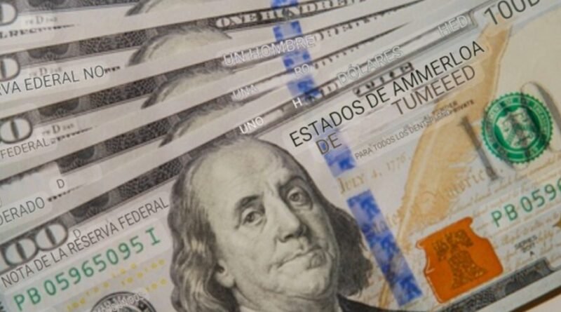 Argentina – “desregulación de créditos en dólares ¿un riesgo controlado o una bomba de tiempo para 2025?”