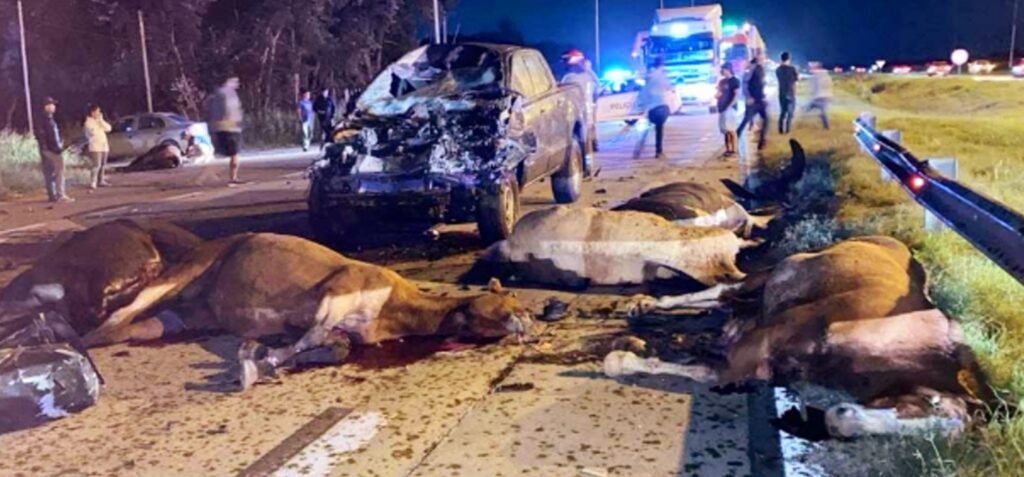 Cañuelas Puesto viejo - Muere una mujer por tragedia caballos sueltos en Ruta 6