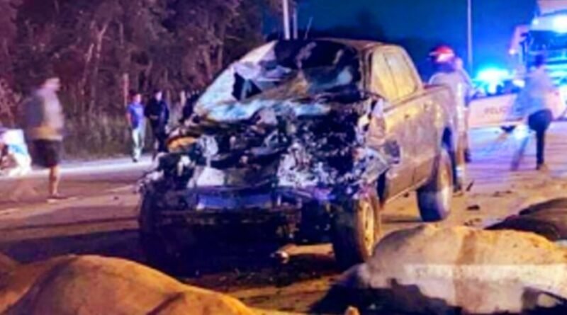 Tragedia en Cañuelas: Muerte, Caballos Sin Dueño y Vacíos Legales que Desafían la Justicia.
