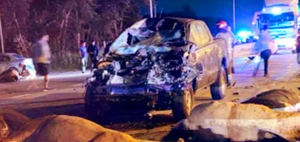 Tragedia en Cañuelas: Muerte, Caballos Sin Dueño y Vacíos Legales que Desafían la Justicia.