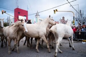Desfile guacho Cañuelas Noticias