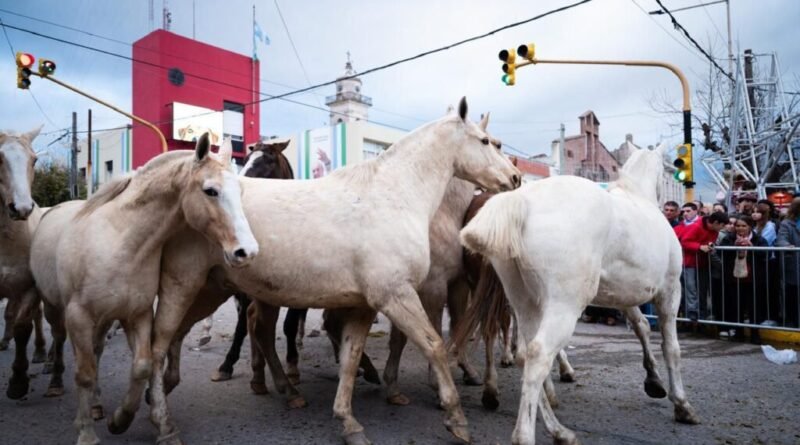Desfile guacho Cañuelas Noticias