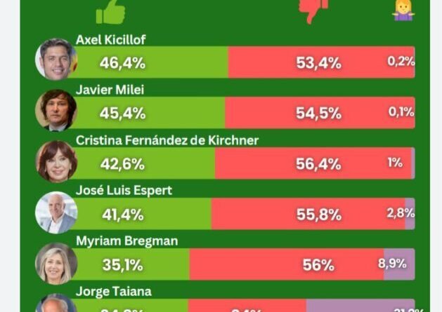 La Plata Encuesta-  Fuerza Patria lidera con leve ventaja, pero los indecisos marcarán la elección- 