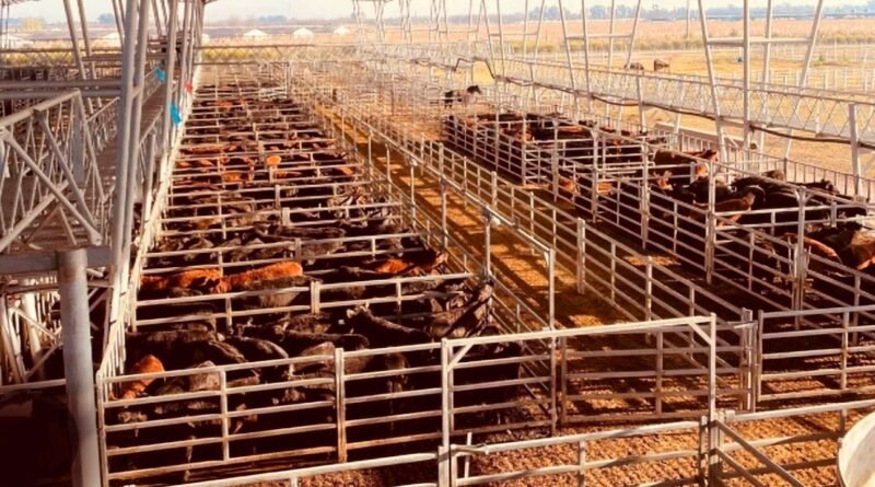Agro Ganadero Cañuelas