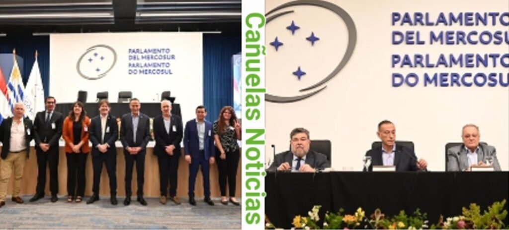 Gustavo Arrieta - El Parlasur cumple 20 años: un proyecto histórico para la integración regional