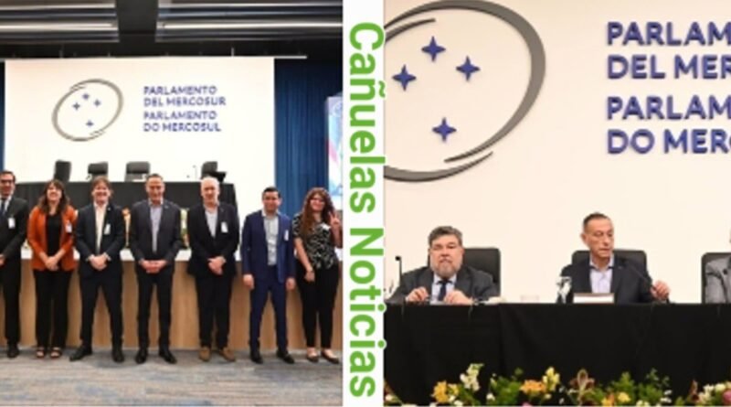 Gustavo Arrieta - El Parlasur cumple 20 años: un proyecto histórico para la integración regional