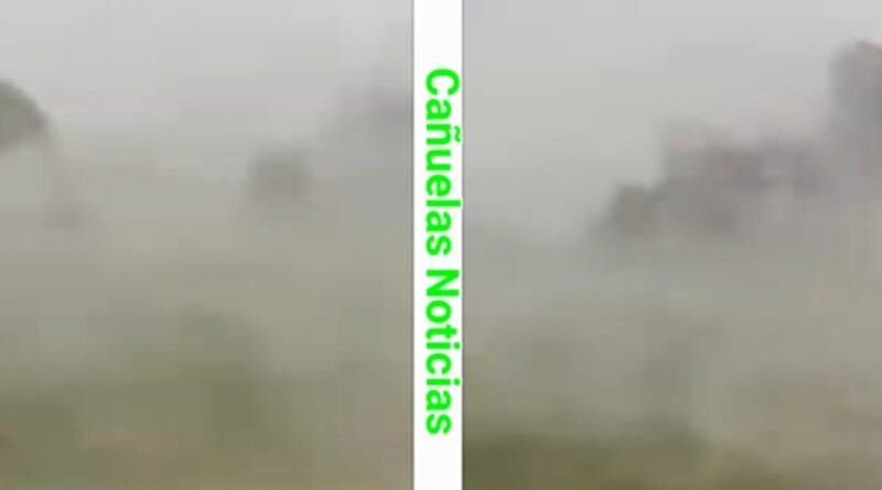 Screenshot 20260131 115627 Gallery