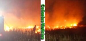San Vicente Incendio Forestal  Un Accidente vial, que Moviliza a Bomberos en la Provincia de Buenos Aires