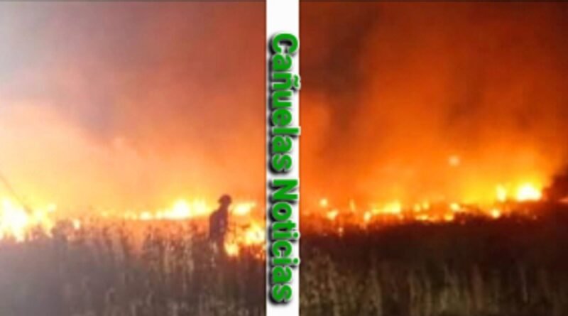 San Vicente Incendio Forestal  Un Accidente vial, que Moviliza a Bomberos en la Provincia de Buenos Aires