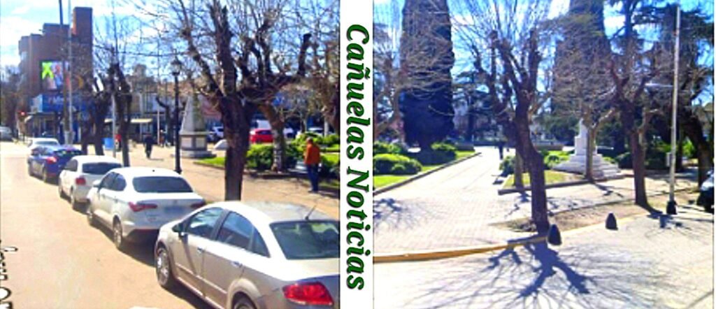 Cañuelas adelanta la poda en Plaza San Martín por acumulación de desechos de aves