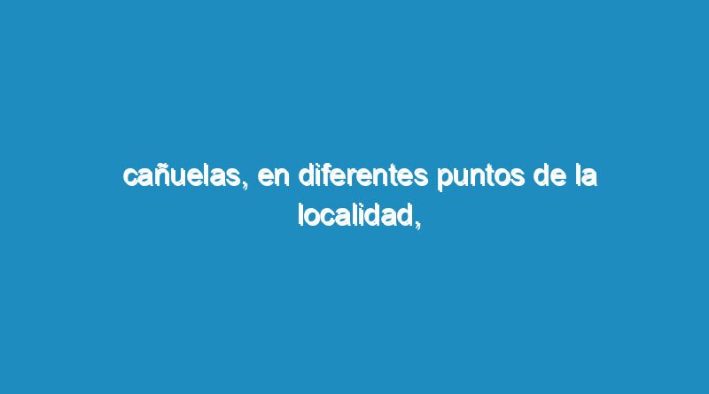 Cañuelas, en diferentes puntos de la localidad, se pudo detectar la existencia de licencias de conducir ""falsas.