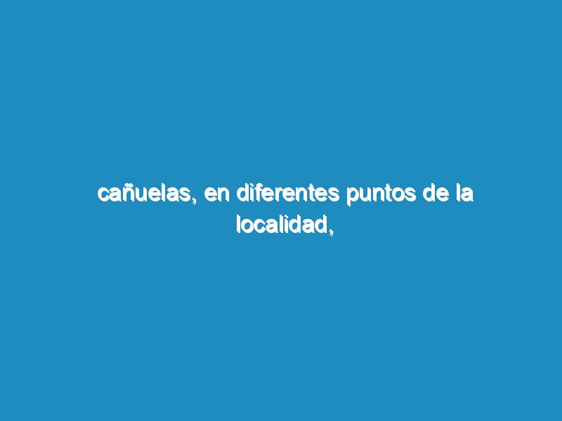 Cañuelas, en diferentes puntos de la localidad, se pudo detectar la existencia de licencias de conducir ""falsas.