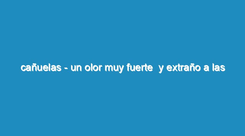Cañuelas - Un olor muy fuerte  y extraño a las 01:10 del 22/06/2023