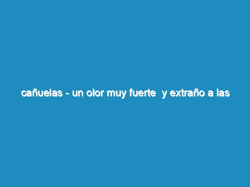 Cañuelas - Un olor muy fuerte  y extraño a las 01:10 del 22/06/2023