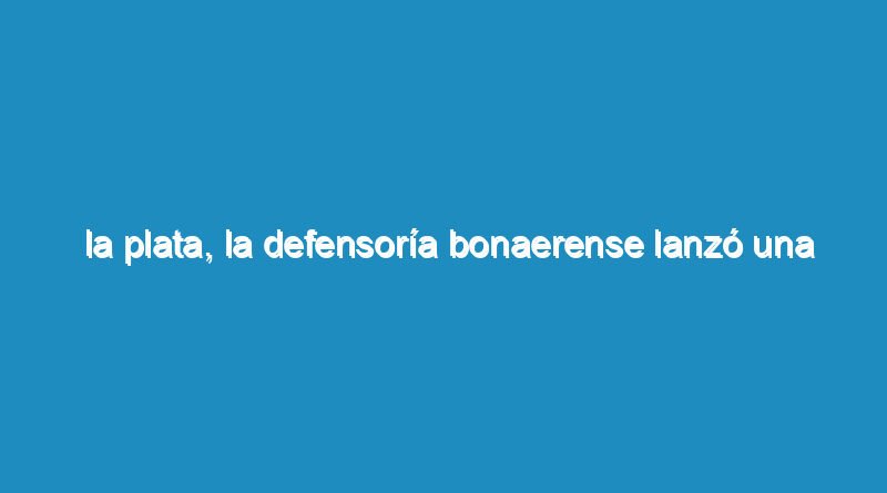 La Plata, La Defensoría bonaerense lanzó una nueva campaña contra el uso de la pirotecnia