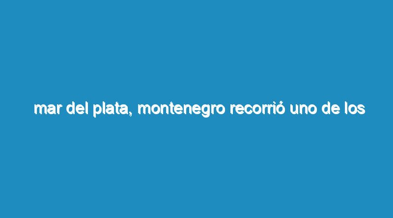 Mar del Plata, Montenegro recorrió uno de los frentes de trabajo de Vialidad