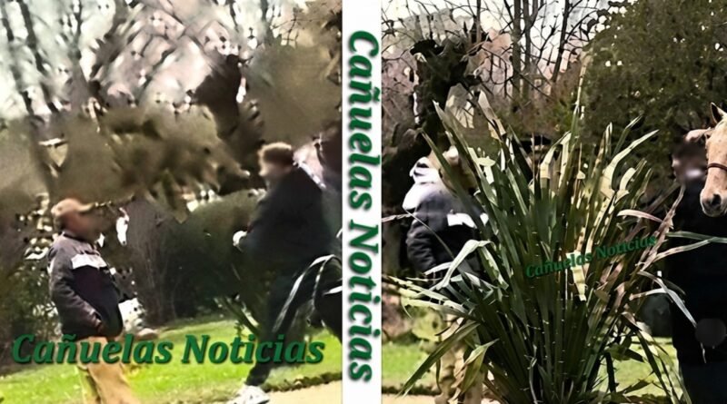 Uribelarrea Cañuelas Indignación  intentaron agredir al “Tata” El Placero de Uribelarrea.