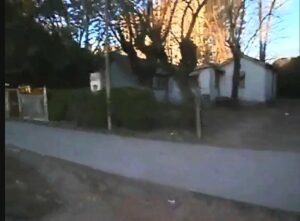 Wp