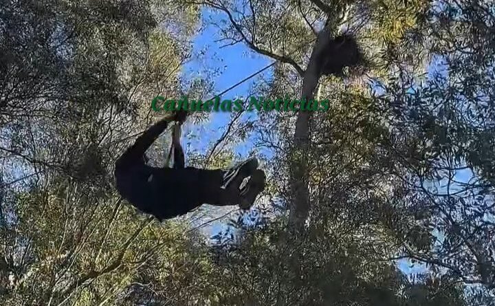 Wp